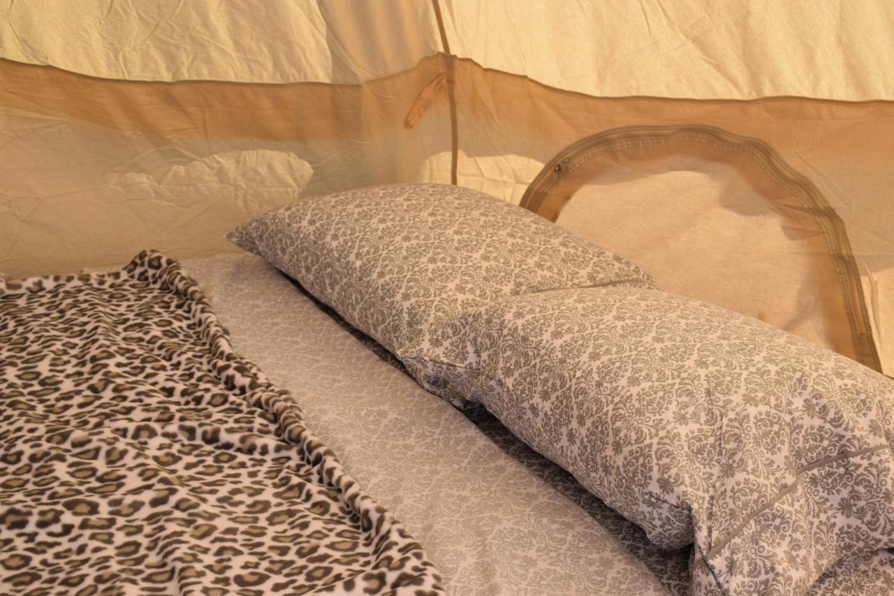 Starlight Tent 1 Holbrook Exterior photo